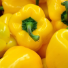 Yellow CW Pepper