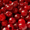 Sour Cherry