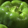 Green CW Pepper